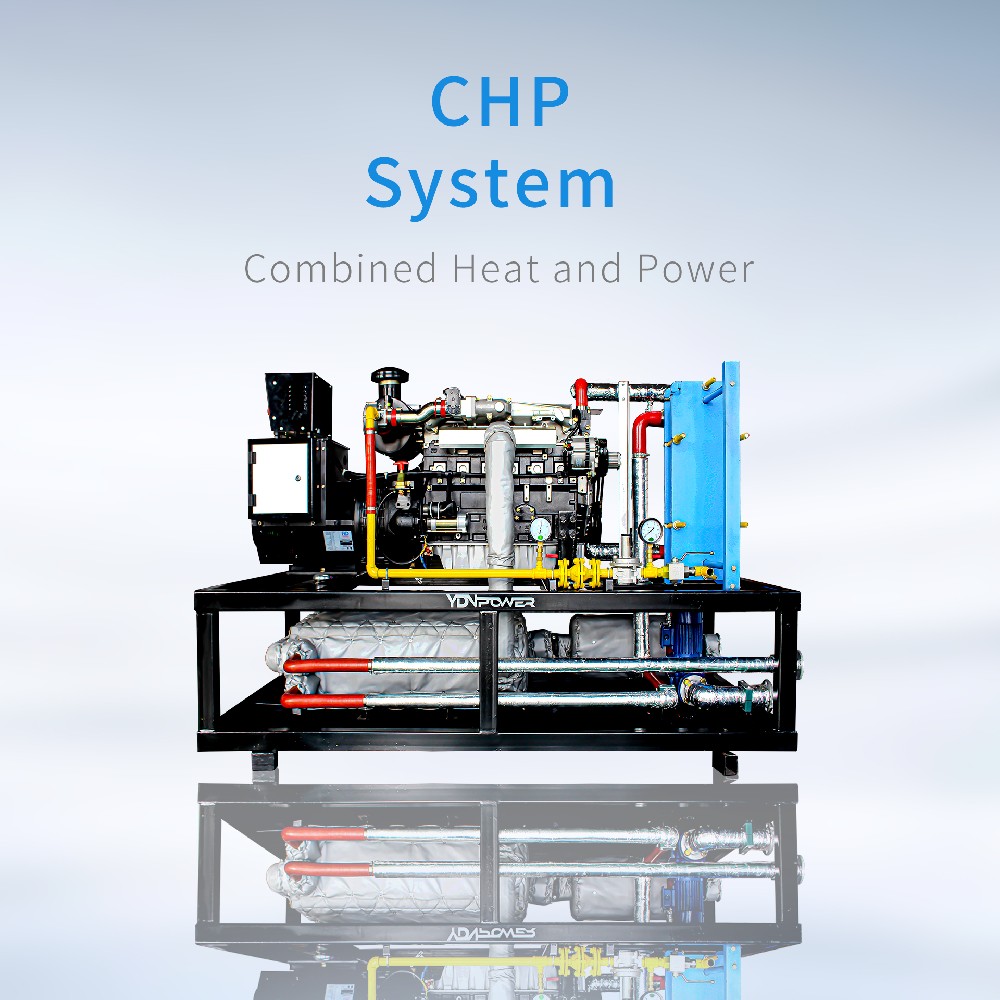 Combined Heat and Power System (CHP)